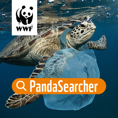 WWF PandaSearch